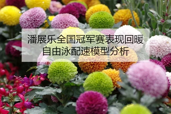 潘展乐全国冠军赛表现回暖 自由泳配速模型分析