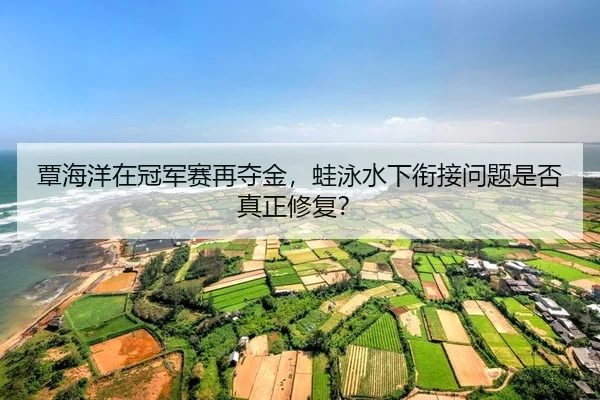 tan-hai-yang-zai-guan-jun-sai-zai-duo-jin-wa-yong-shui-xia-xian-jie-wen-ti-shi-fou-zhen-zheng-xiu-fu-2-274.jpg