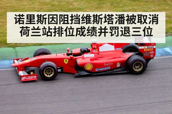 诺里斯因阻挡维斯塔潘被取消荷兰站排位成绩并罚退三位
